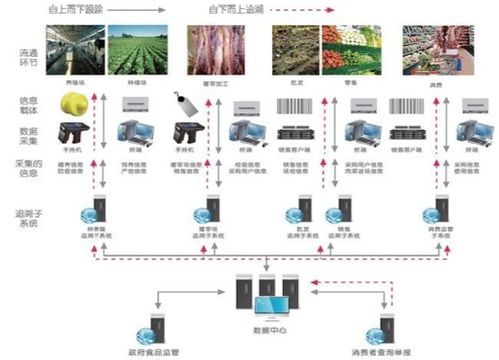 食品安全防偽追溯系統(tǒng) 一體化軟件設(shè)計(jì)與開發(fā)解決方案